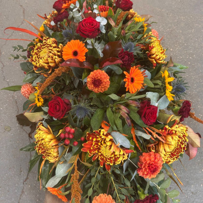 5C645868-01D4-48DC-96C4-7BB063B6FB13