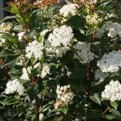 image1 (3)